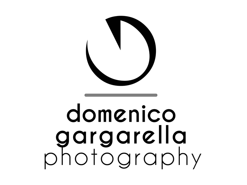 Domenico Gargarella